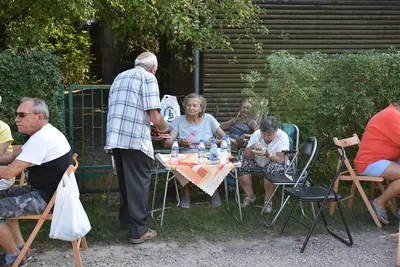 Dzień Działkowca 2019 — zdjęcie 61