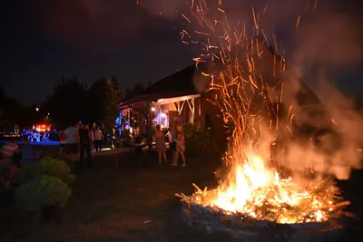 Dzień Działkowca 2019 — zdjęcie 6