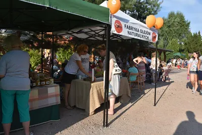 Dzień Działkowca 2019 — zdjęcie 56