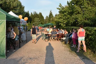 Dzień Działkowca 2019 — zdjęcie 37