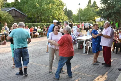 Dzień Działkowca 2019 — zdjęcie 42