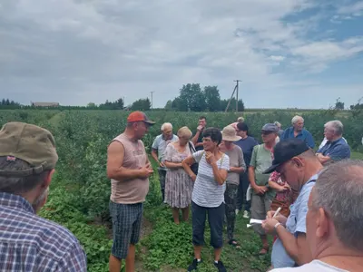 Warsztaty borówkowe 2023 — zdjęcie 13