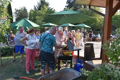 Dzień Działkowca 2019 — zdjęcie 52