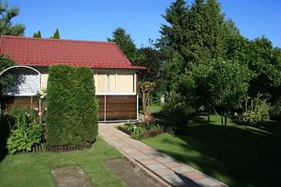 Nasze działki — zdjęcie 23