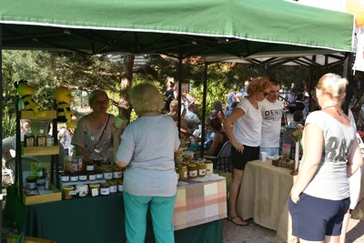 Dzień Działkowca 2019 — zdjęcie 55